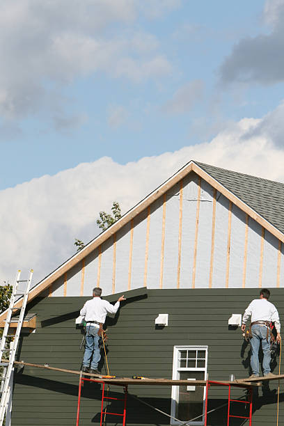 Best Custom Trim and Detailing for Siding  in USA